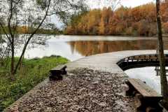 IMG-20191015-WA0011