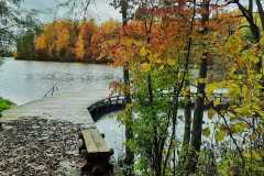 IMG-20191015-WA0012